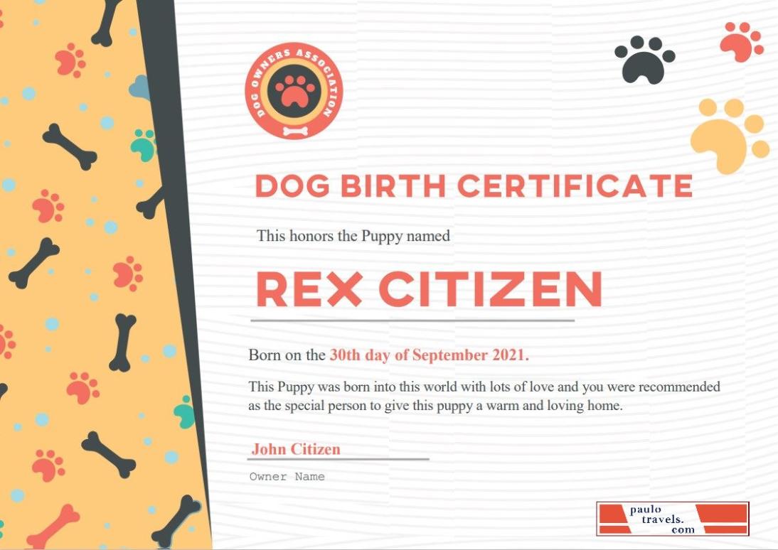 certificate-img